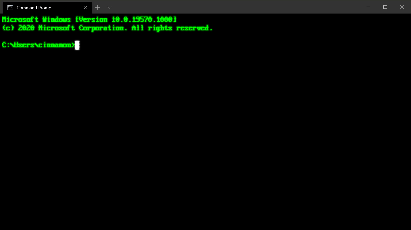 Terminal window with the cat command prompt.